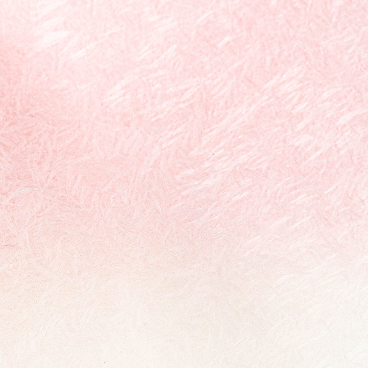 日本の伝統工芸 越前和紙