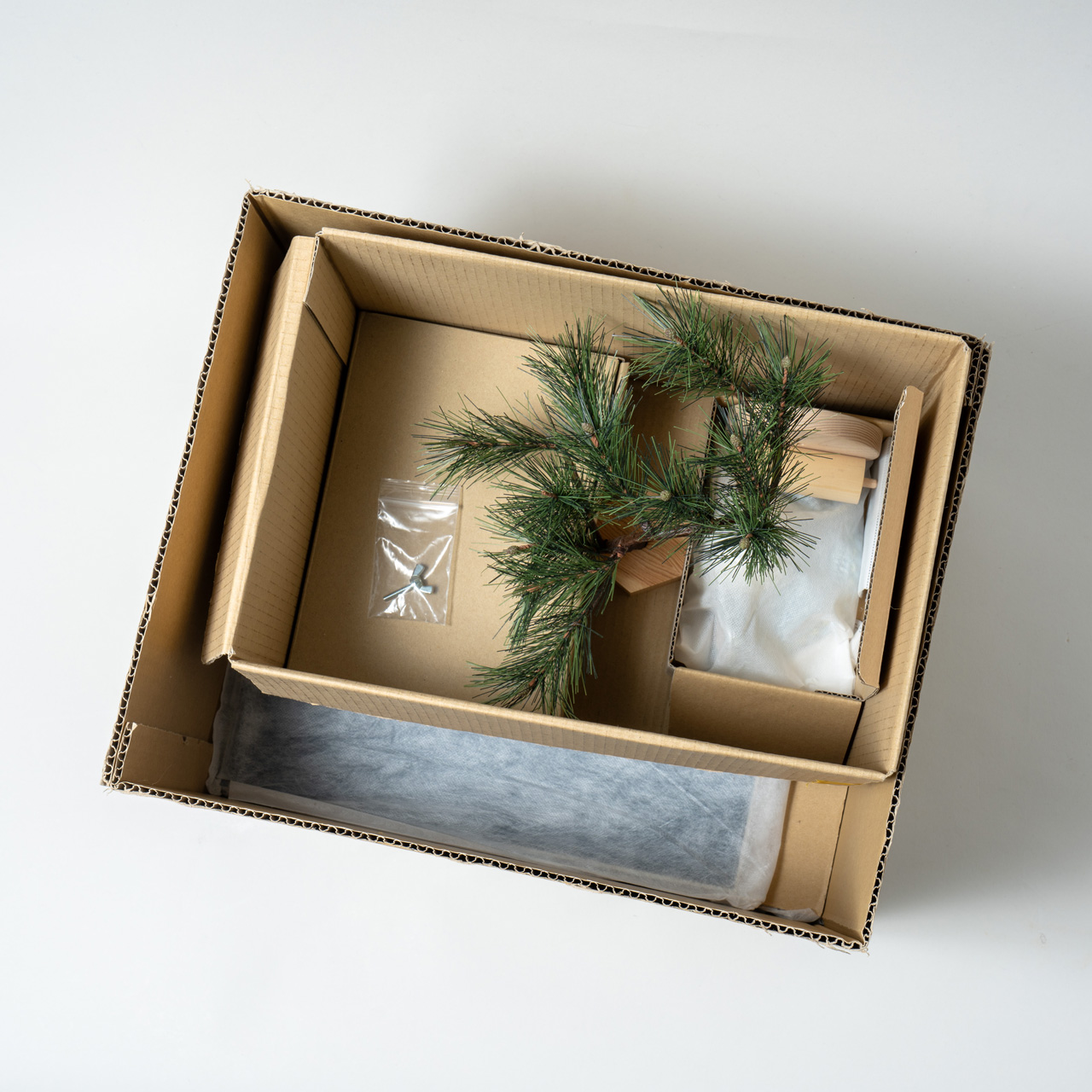 ���å�����